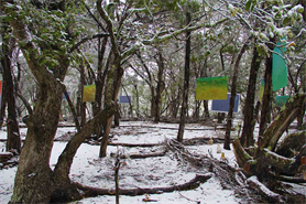 Land Art By Artist DAPACU