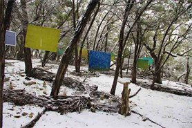 DAPACU Photo & Land Art