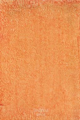 Paintings