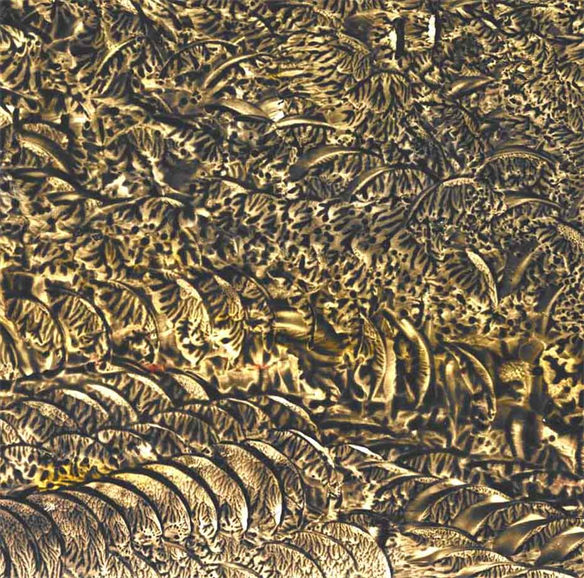 Aorund Two Inches of Painting